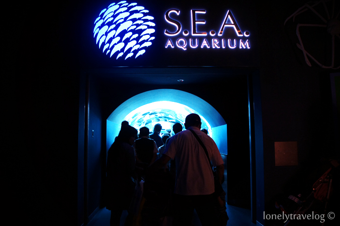 S.E.A Aquarium