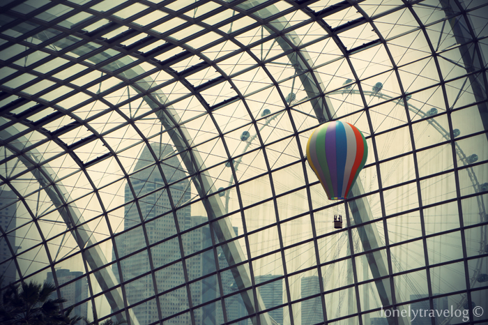 Flight of fancy - Flower Dome