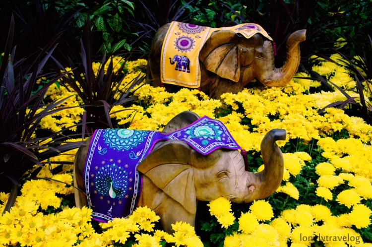 Deepavali - FlowerDome