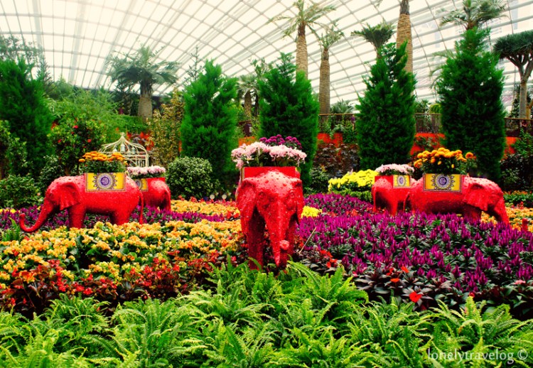 Deepavali Celebration