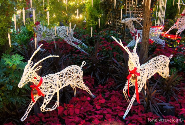 Christmas Sugar Mountain