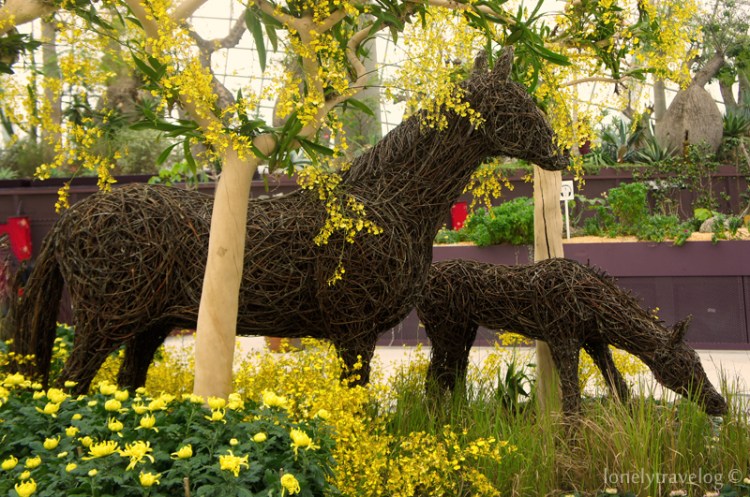 Year of the Horse Floral Display