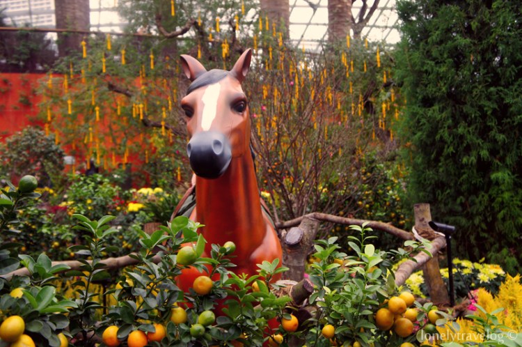 Year of Horse Gallop