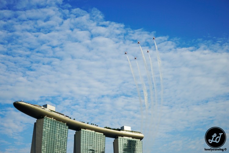 NDP 2015 Tribute to LKY