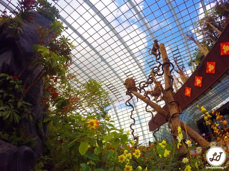 DCIM100GOPROGOPR2910.