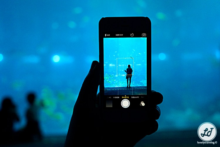 Thinking SEA Aquarium