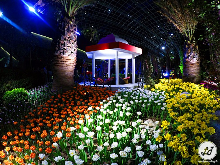 DCIM100GOPROGOPR1883.