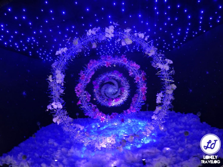 DCIM100GOPROGOPR6965.