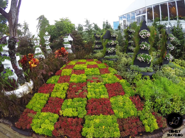 DCIM100GOPROGOPR7005.