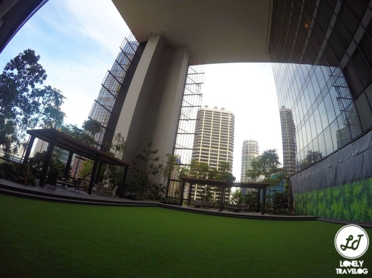 DCIM102GOPROGOPR9953.