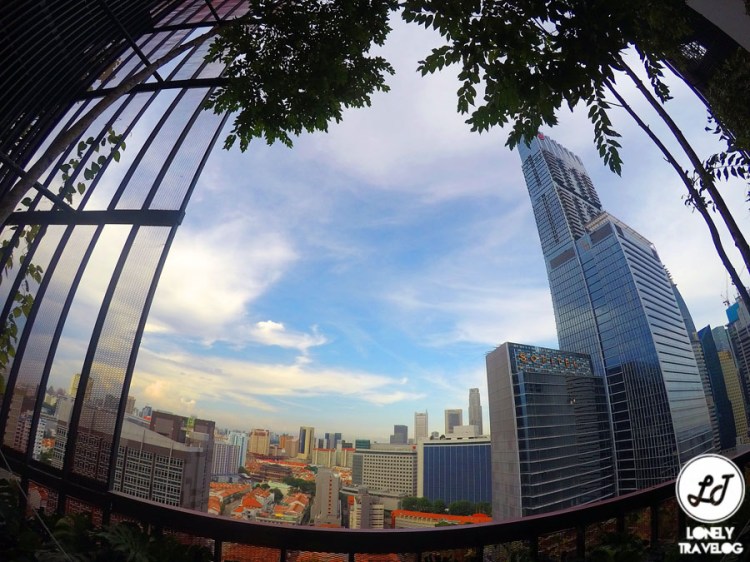 DCIM102GOPROGOPR9956.