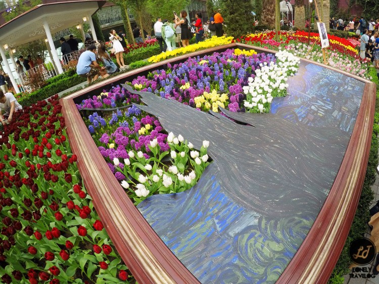 DCIM100GOPROGOPR8266.