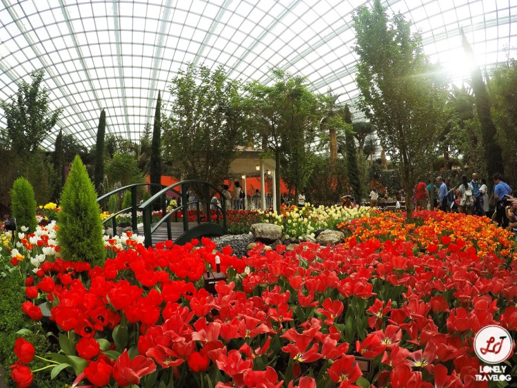 DCIM100GOPROGOPR8300.