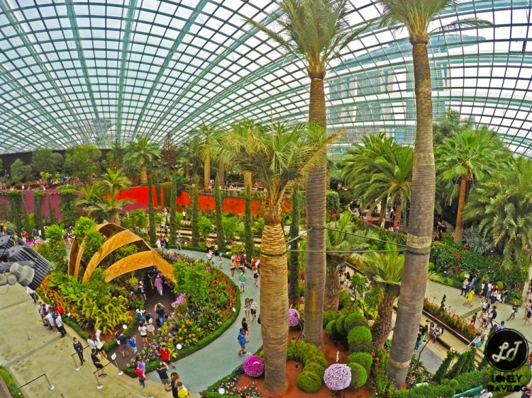 Orchid Extravaganza Flower Display