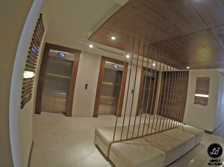 DCIM103GOPROGOPR6562.