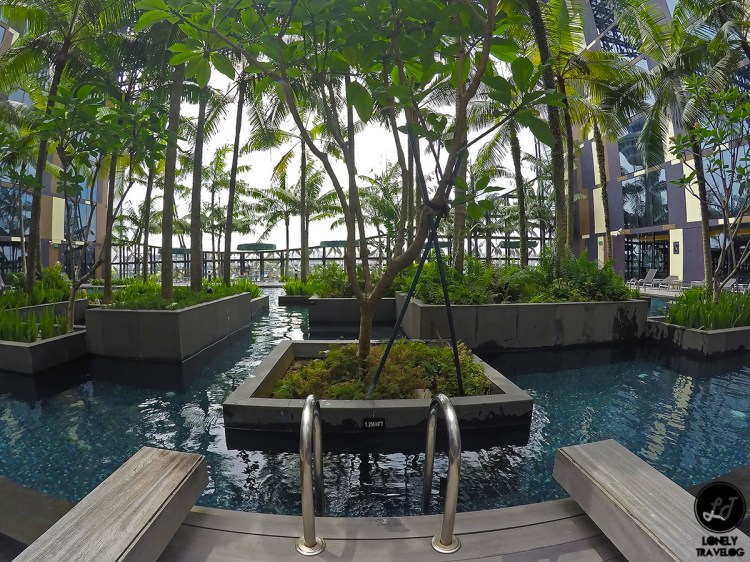 DCIM106GOPROGOPR4411.