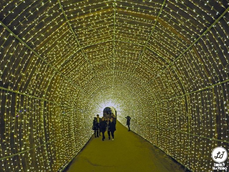 GLOW: Garden of Morning Calm