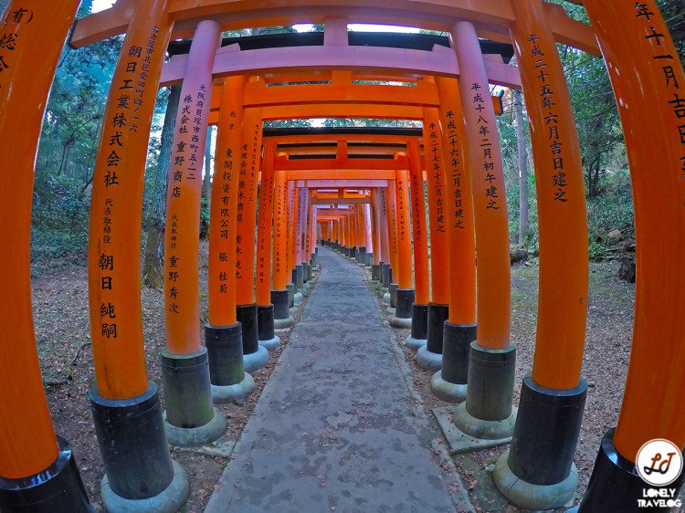 Fushimi Inari