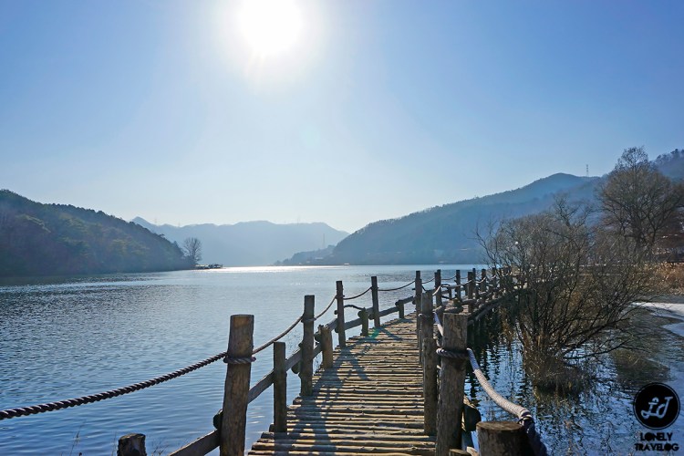 Nami Island - Serene