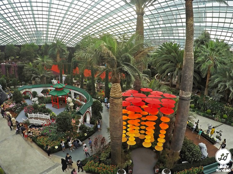 DCIM100GOPROGOPR9721.