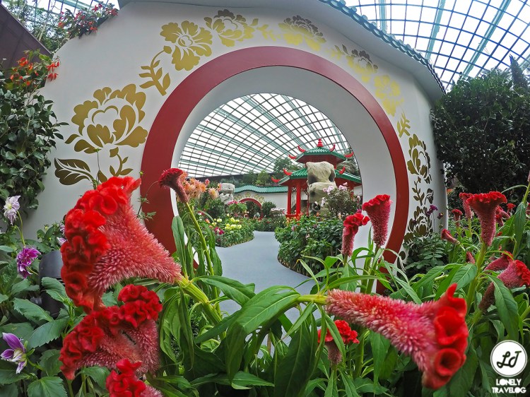 DCIM100GOPROGOPR9776.