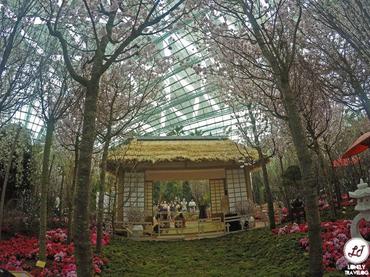 DCIM100GOPROGOPR2096.