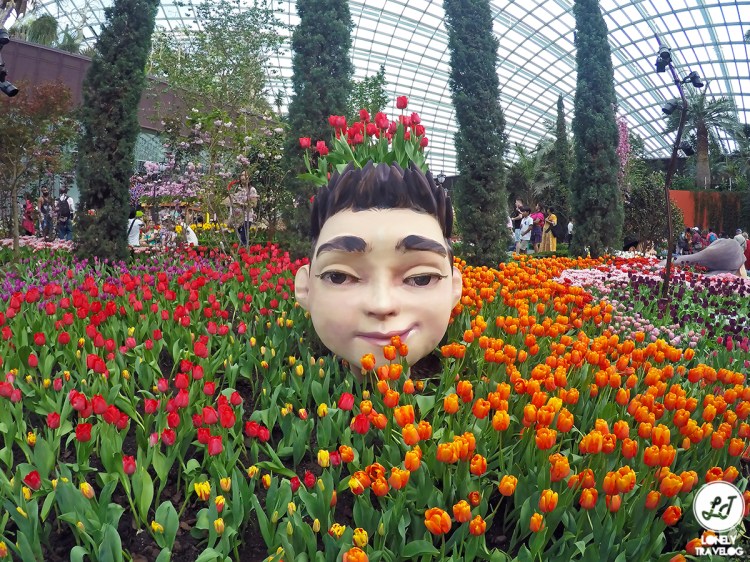Tulipmania 2018