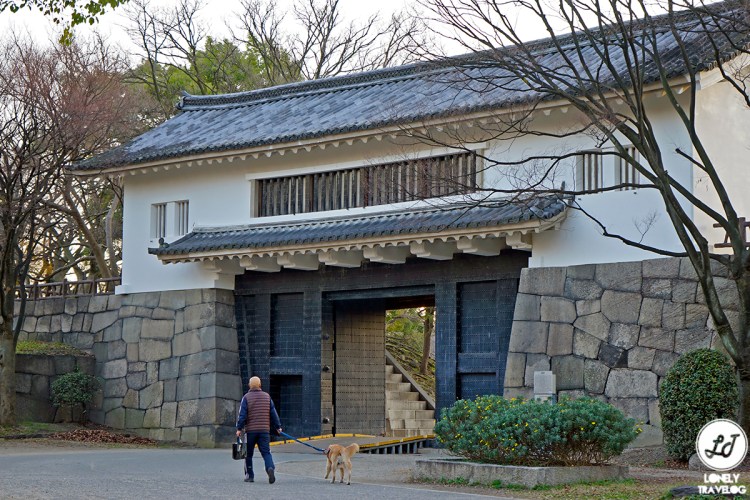 Osaka Castle (4)