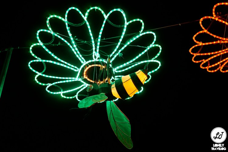 Mid Autumn 18 GBTB (10)