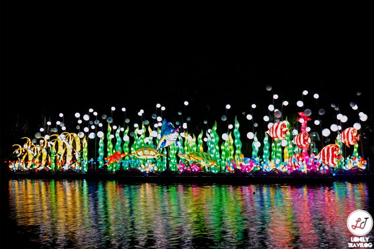 Mid Autumn 18 GBTB (13)