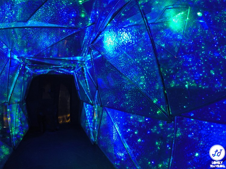 Sunflower Surprise 2018