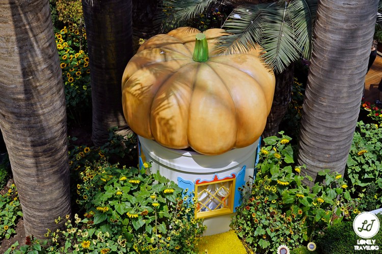 Sunflower Surprise (2)