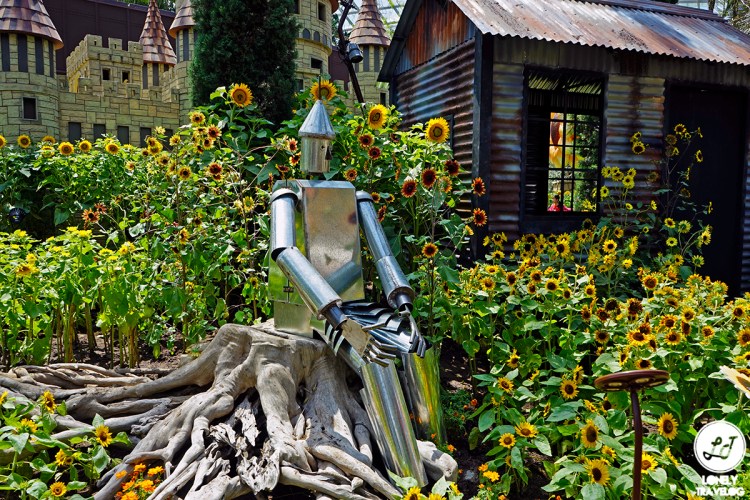 Sunflower Surprise (4)