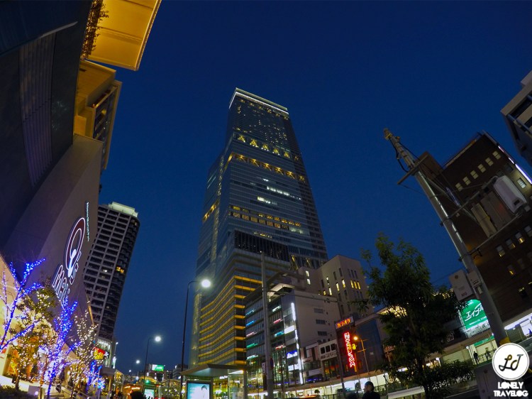 DCIM100GOPROGOPR2761.