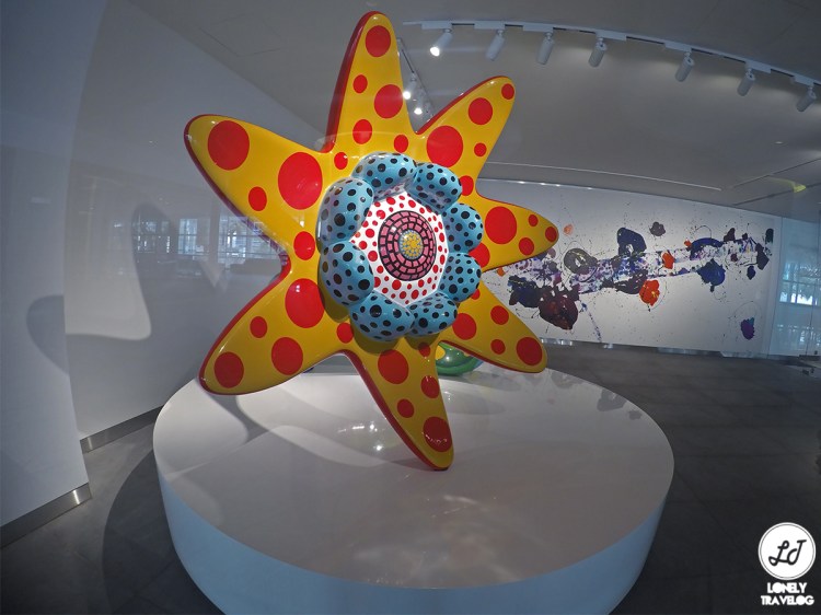 DCIM100GOPROGOPR8864.