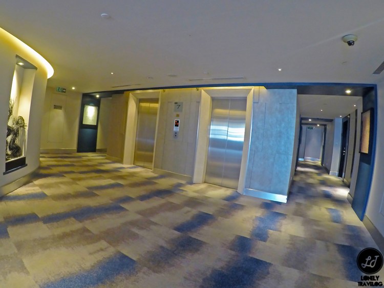 DCIM100GOPROGOPR8932.