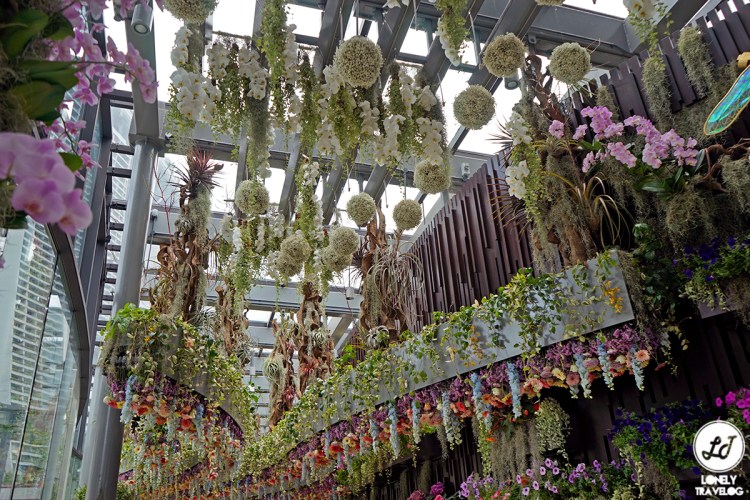 Floral Fantasy 19 (4)