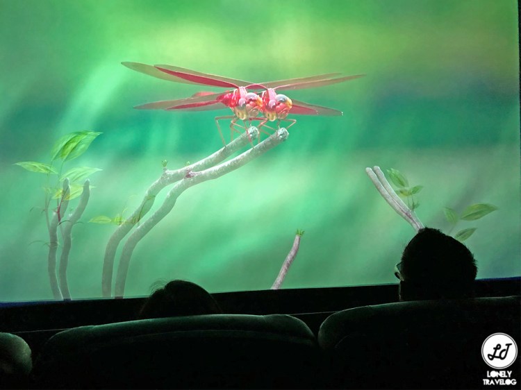 Floral Fantasy 19 (8)