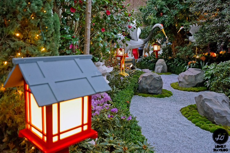 Sakura Matsuri 2019 (13)