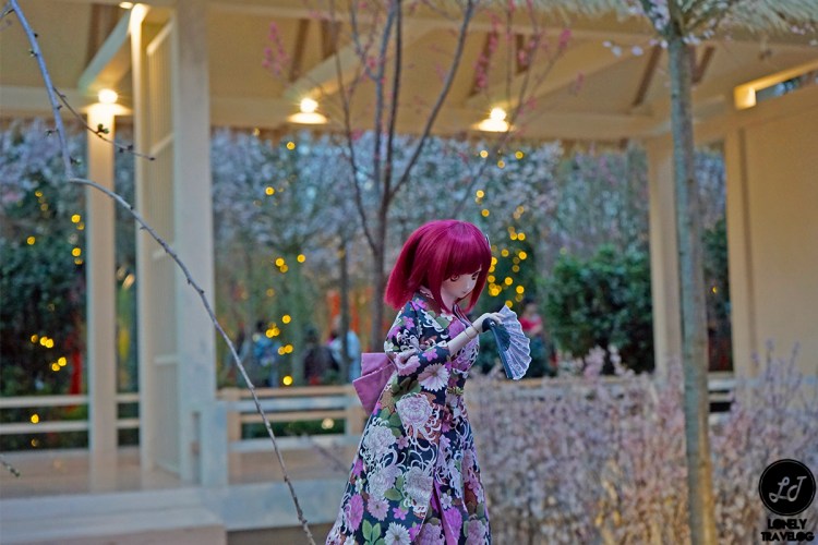 Sakura Matsuri 2019 (14)