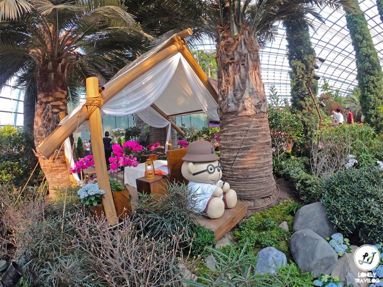 Rhododendrons Radiance