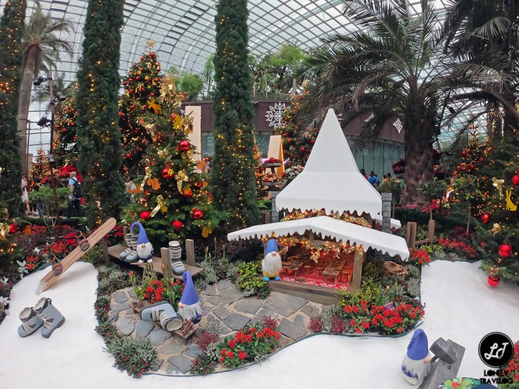 Poinsettia Wishes 19