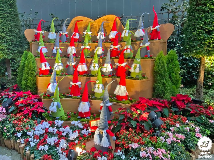 Poinsettia Wishes 19 (8)