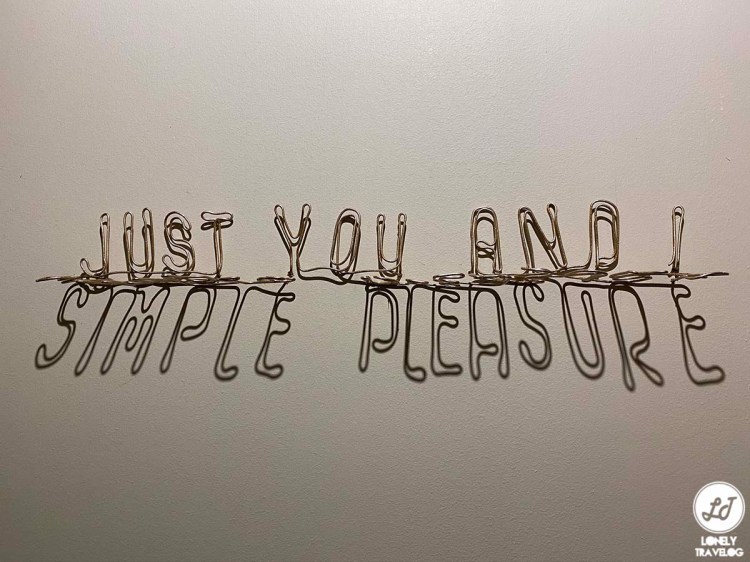 Light to night sg 2020 (13)