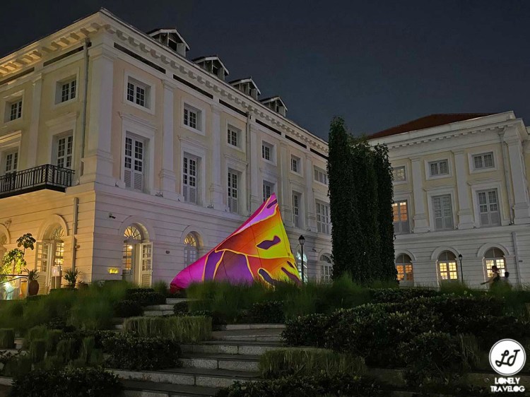 Light to night sg 2020 (7)