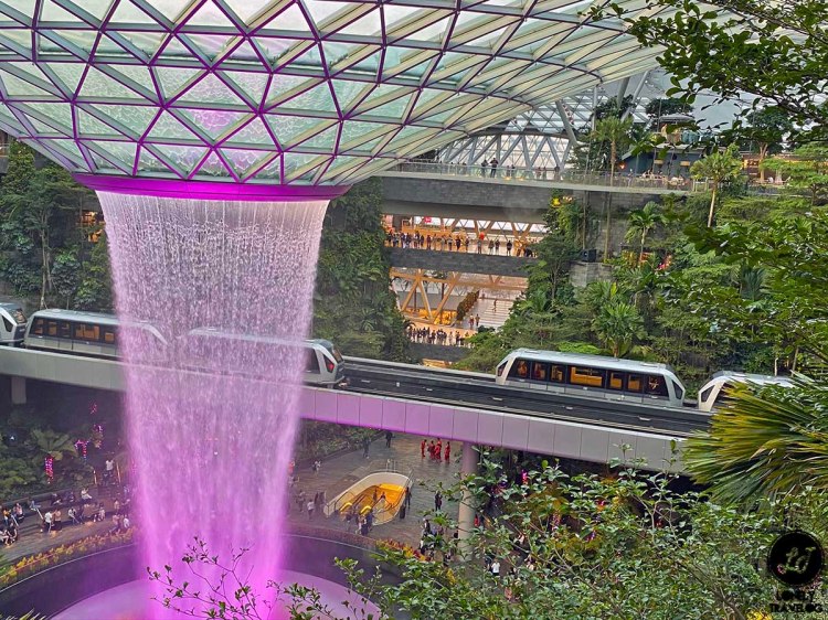 Jewel Canopy Walk (14)