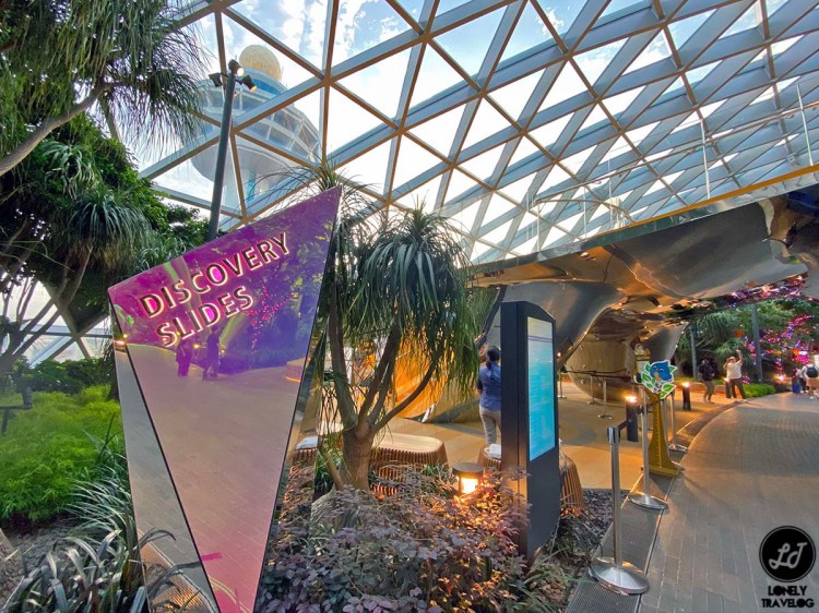 Jewel Canopy Walk (7)