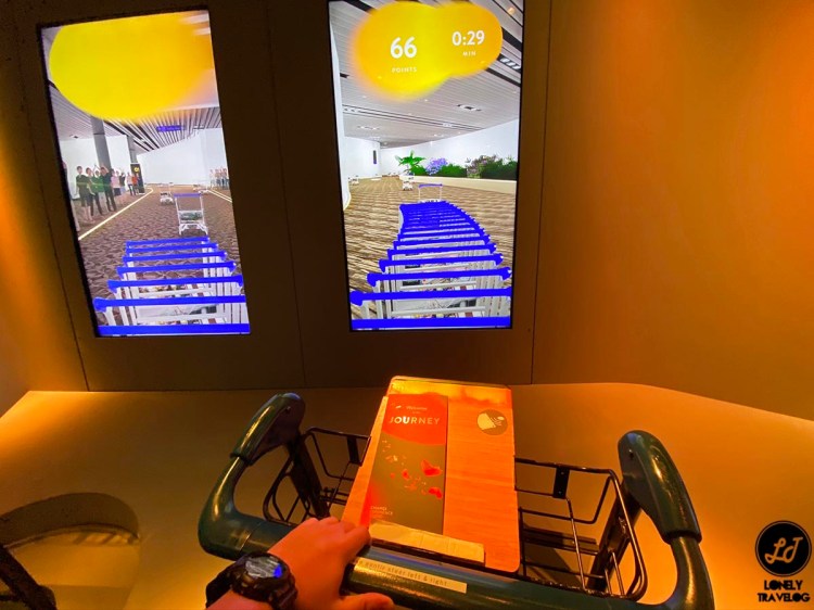 LT Changi Airport Experience (19)