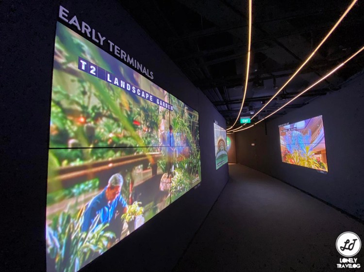 LT Changi Airport Experience (4)