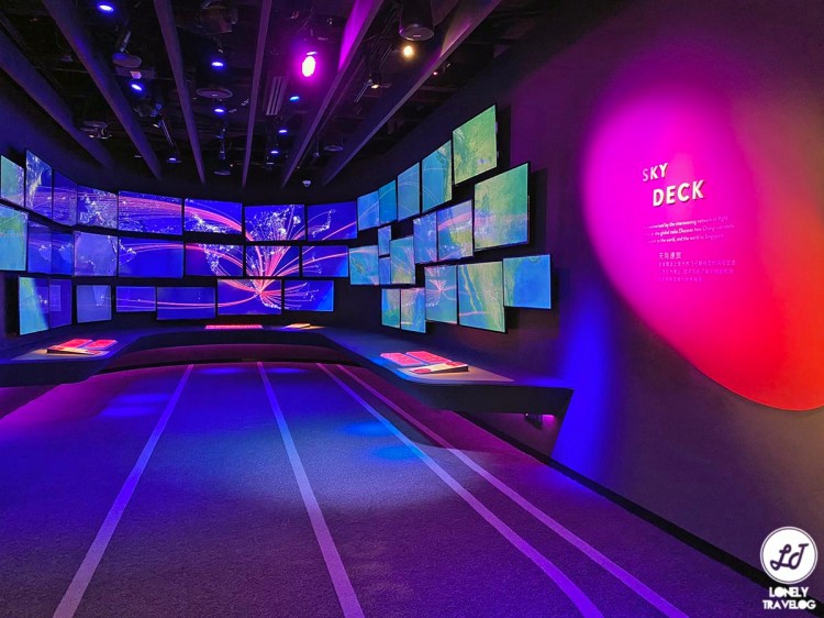 LT Changi Airport Experience (9)